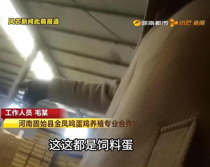 河南固始县联合调查组发布情况通报