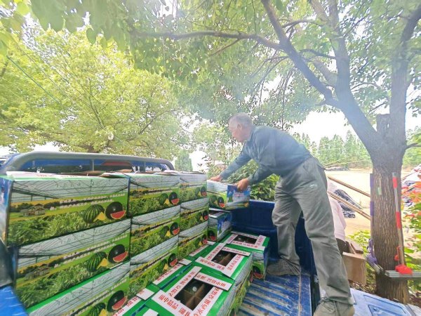 30年甜万家！宜城一个流水西瓜何以撑起3.2亿元产业链